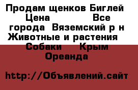 Продам щенков Биглей › Цена ­ 15 000 - Все города, Вяземский р-н Животные и растения » Собаки   . Крым,Ореанда